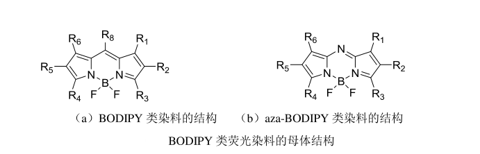 氮雜BODIPY（Aza-BODIPY）