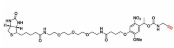  生物素-三乙二醇-炔基