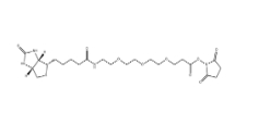 1253286-56-4     Biotin-PEG3-NHS ester	生物素三聚乙二醇琥珀酰亞胺酯	