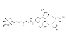 188428-79-7         DOTA-biotin	DOTA-生物素	