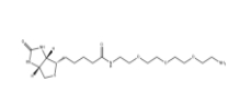 359860-27-8         Amine-PEG3-Biotin	   生物素-PEG3-胺	