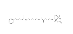 129179-83-5,Biotin-HPDP,雙硫鍵生物素交聯劑