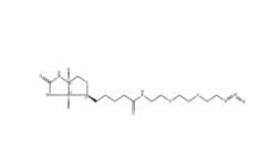 945633-30-7         Biotin-PEG3-azide，生物素-PEG3-疊氮化物		