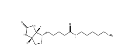 115416-38-1，Biotin-Amine，生物素氨基