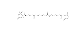 89889-52-1           Biotin-AC5-AC5-OSU           生物素氨基己酸氨基己酸琥珀酰亞胺酯		