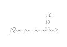 910036-44-1        甲基硫代磺酸2-[Nα-苯甲?；郊柞０被?N6-（6-生物素氨基己酰基）-L-賴氨酰胺基]乙基