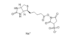 119616-38-5        Biotin-NHS, Water-Soluble	       生物素 3-磺酸基-N-羥基琥珀酰亞胺鈉鹽	