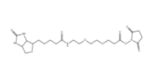 [CAS 596820-83-6]          9-Biotinlamino-4,7-Dioxanonanoic Acid N-Hydroxysuccinimidyl Ester 