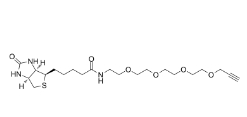 1458576-00-5          Acetylene-PEG4-biotin conjugate	         生物素-四聚乙二醇-丙炔基	