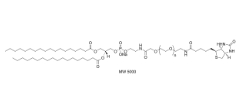 385437-57-0               磷脂酰乙醇胺-聚乙二醇2000-生物素		