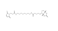 305372-39-8，Biotin-PEG2-Mal小分子PEG,生物素-二聚乙二醇-酰胺-馬來酰亞胺