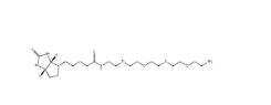 CAS號： 663171-32-2  ； Biotin-PEG4-Amine