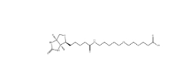 CAS號：252881-76-8 ；Biotin-PEG3-COOH ；Biotin-PEG3-prop