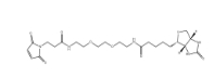 305372-39-8；Biotin-PEG2-MAL，S-Acetyl-PEG6-Azido，N3-PEG2-OH；生物素-二聚乙二醇-酰胺-馬來酰亞胺	