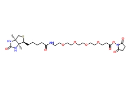 459426-22-3；（+）-Biotin-PEG4-NHS Ester；生物素-四聚乙二醇-NHS 酯