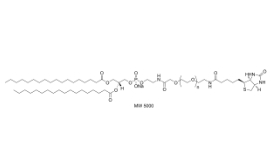 385437-57-0，Biotin-PEG2000-DSPE，DSPE-PEG2000-Bioti