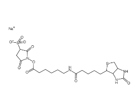 127062-22-0，Sulfo NHS LC Biotin，生物素酰氨基己酸-3-磺酸基-N-羥基琥珀酰亞胺酯	