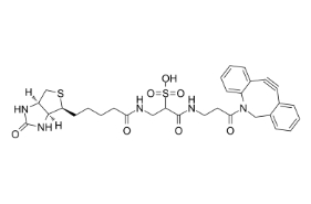 1363444-70-5；DBCO-Sulfo-link-biotin；二苯并環(huán)辛炔- 水溶性-連接生物素