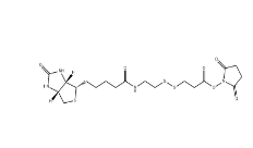 122266-55-1/Biotin-SS-NHS ester/生物素-二硫鍵-活性酯		