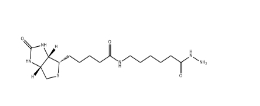 CAS: 109276-34-8/Biotin-LC-Hydrazide/生物素標記