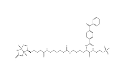 910036-44-1；2-[Nα-Benzoylbenzoicamido-N6-(6-biotinamidocaproyl)-L-lysinylamido]ethyl Methanethiosulfonate		