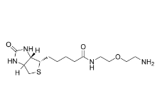 811442-85-0；Biotin-PEG1-amine；生物素-二聚乙二醇-氨基	