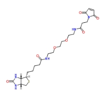 305372-39-8；Biotin-PEG2-amido-Mal；物素-二聚乙二醇-酰胺-馬來酰亞胺	