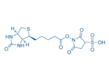 190598-55-1；Biotin sulfo-N-hydroxysuccinimide ester	；2,5-二氧代-1-((5-((3AS,4S,6AR)-2-氧代六氫-1H-噻吩并[3,4-D]咪唑-4-基)戊酰基)氧基)吡咯烷-3-磺酸	