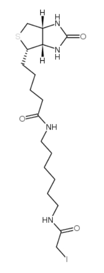 CAS No. : 93285-75-7，Iodoacetyl-LC-biotin ， 一種生物素化的親電子探針