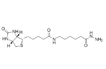 109276-34-8，生物素LC酰肼，BIOTINAMIDOCAPROYL HYDRAZIDE	