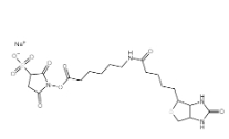 191671-46-2，Biotinamidohexanoic acid 3-sulfo-N-hydroxysuccinimide ester sodium salt