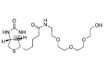 1322625-82-0，1-Biotinylamino-3,6,9-trioxaundecane-11-ol