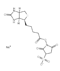  [CAS 119616-38-5]，Sulpho NHS biotin