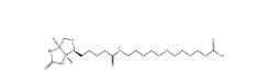 Biotin-PEG3-COOH，252881-76-8，(+)-生物素-PEG 3 -丙酸