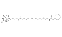 Biotin-PEG4-TCO；2183440-30-2；生物素-PEG4-TCO