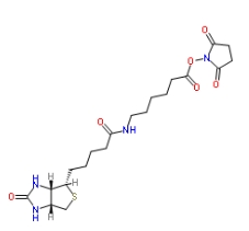 NHS LC Biotin，72040-63-2，生物素化-epsilon-氨基己酸-N-羥基丁二酰亞胺活化酯