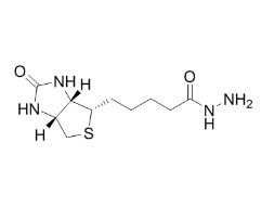 生物素酰肼 ;cas:66640-86-6