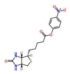 (+)-Biotin-ONP ((+)-Biotin 4-nitrophenyl ester)；33755-53-2；(+)-生物素4-硝基苯酯