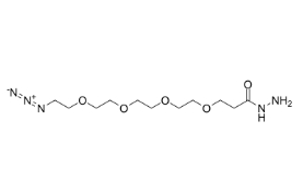 cas:2170240-96-5，Azido-PEG4-hydrazide HCl Salt，鹽酸疊氮-四聚乙二醇-肼鹽