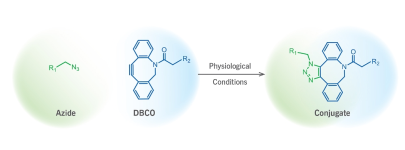 DBCO-PEG4-SS-TCO ，二苯基環(huán)辛炔-四聚乙二醇-雙硫鍵-反式環(huán)辛烯