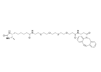 cas:2032788-37-5，DBCO-PEG5-Desthiobiotin，二苯并環(huán)辛炔-五聚乙二醇-脫硫生物素