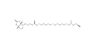 Biotin-PEG4-amide-Alkyne，CAS號：1006592-45-5