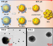 PLG-graft-mPEG/SN38 (Fc-NPLG-SN38) -DBCO           聚L-谷氨酸-7-乙基-10-羥基喜樹(shù)堿修飾二苯并環(huán)辛炔