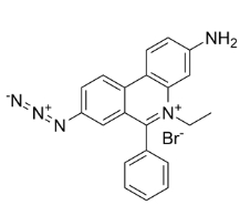 EMA[單疊氮化溴乙非啶]，CAS號(hào)：58880-05-0，EMA [Ethidium monoazide bromide]