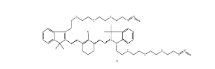 2107273-84-5；N,N＇-bis-(azide-PEG3)-chlorocyclohexenyl Cy7；N,N＇-雙-(疊氮-三聚乙二醇)-氯環(huán)己烯 CY7染料	