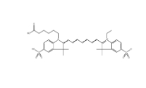 Sulfo-Cy7/CAS: 943298-08-6/近紅外花菁染料         瑞禧生物