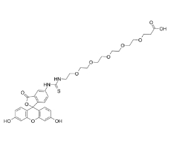 2183440-40-4，5-FITC-PEG5-COOH，F(xiàn)luorescein-PEG5-acid，熒光素-五聚乙二醇-丙酸	