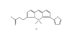 BDP 558/568 carboxylic acid|Bodipy染料；150173-72-1；BDP 558/568-羧酸	