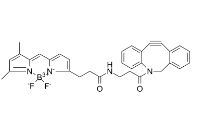 BDP FL DBCO，DBCO-BODIPY FL，2093197-94-3