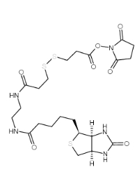 NHS-SS-Biotin，CAS號：142439-92-7           瑞禧生物